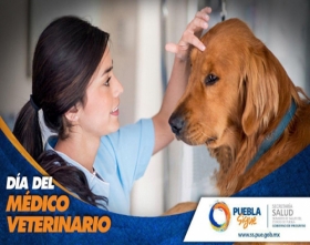 Reconocen labor de médicos veterinarios