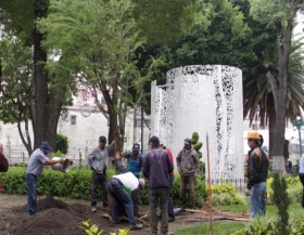 Siembras árboles en el zócalo