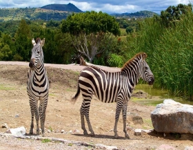 Busca ser uno de los parques m&aacute;s sustentables en la regi&oacute;n de Am&eacute;rica Latina.