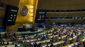 Consejo de Derechos Humanos de la ONU.