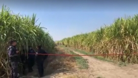 La zona fue acordonada por la policía municipal    